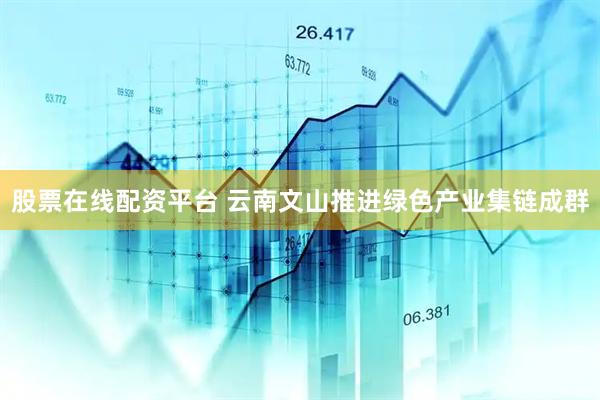 股票在线配资平台 云南文山推进绿色产业集链成群